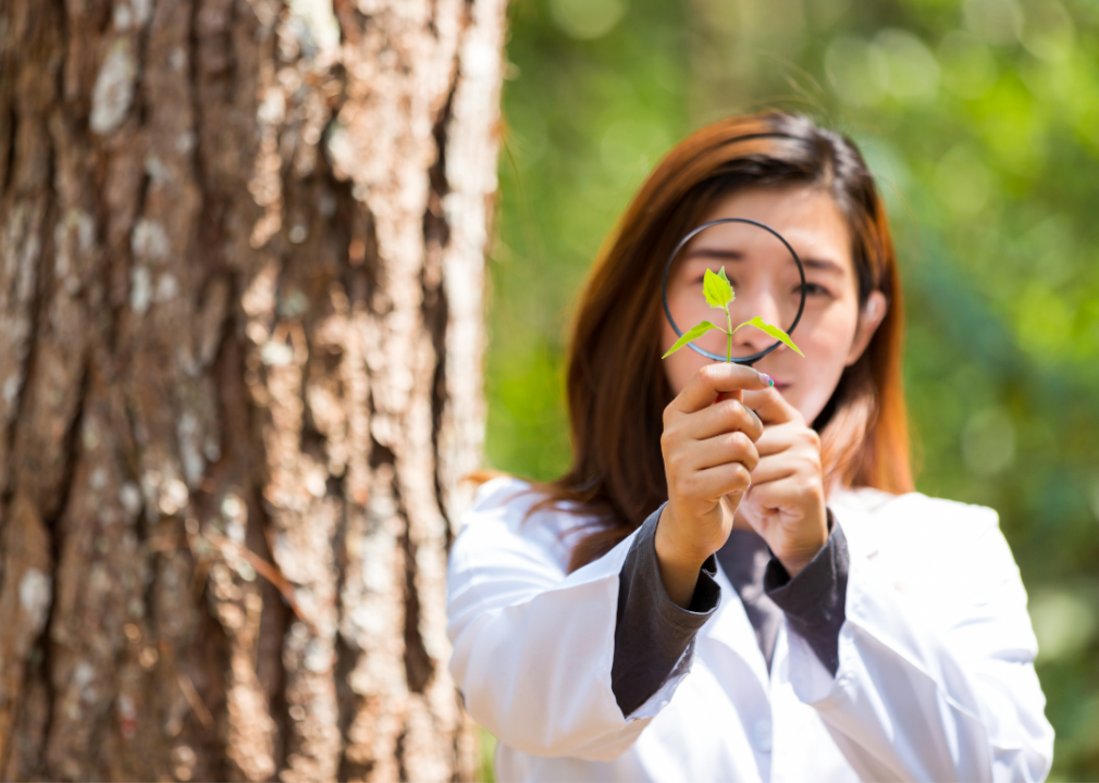 Document your local biodiversity